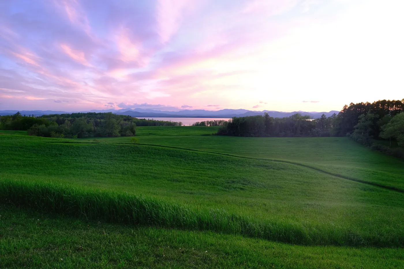 Field, Vermont.