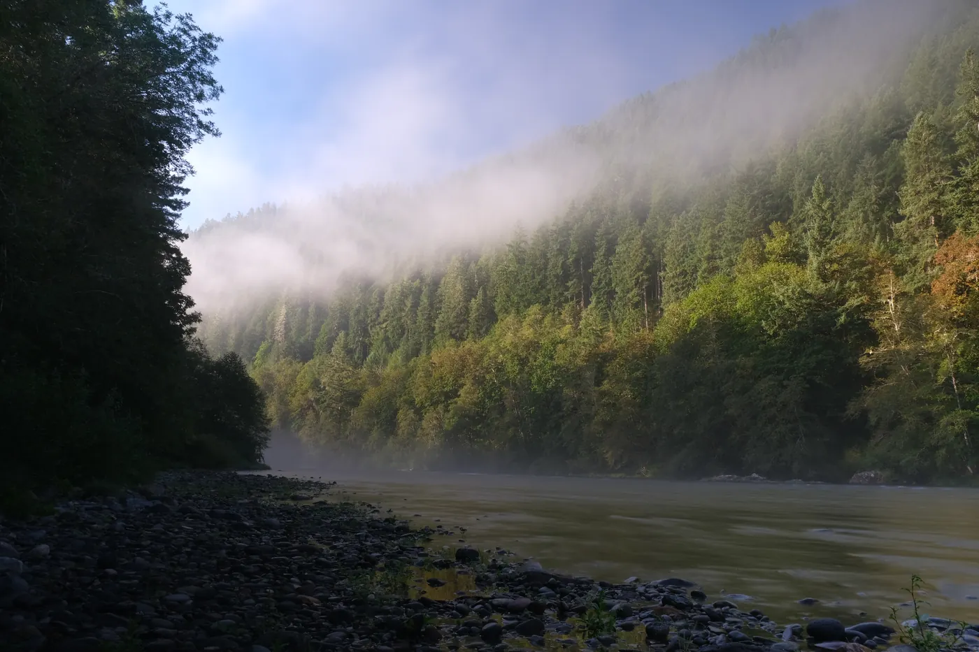 Morning Fog, Eugene, Oregon.